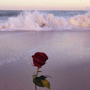 Meet your Poshers, Michelle & Joshua